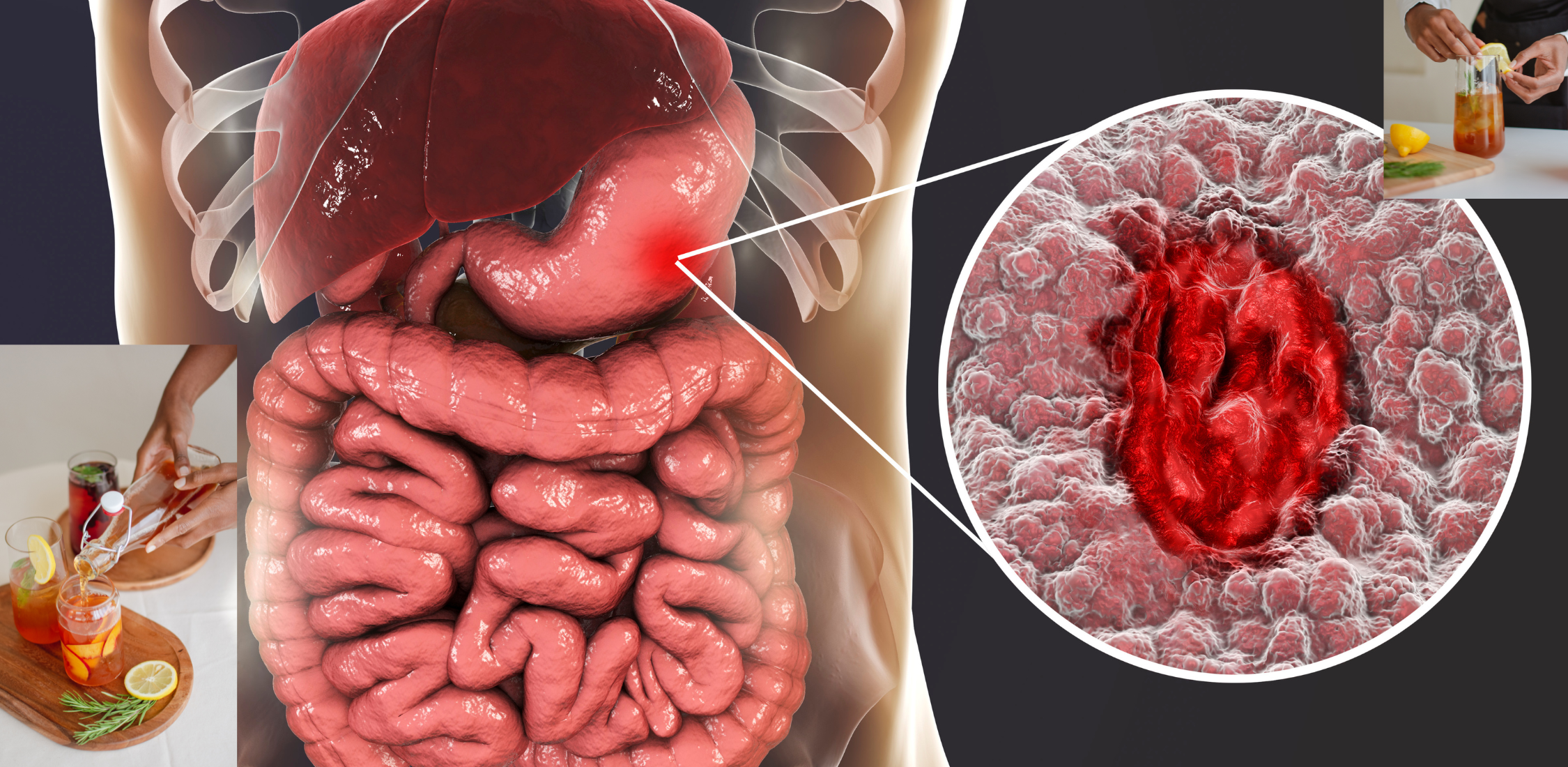 gut health drink mix