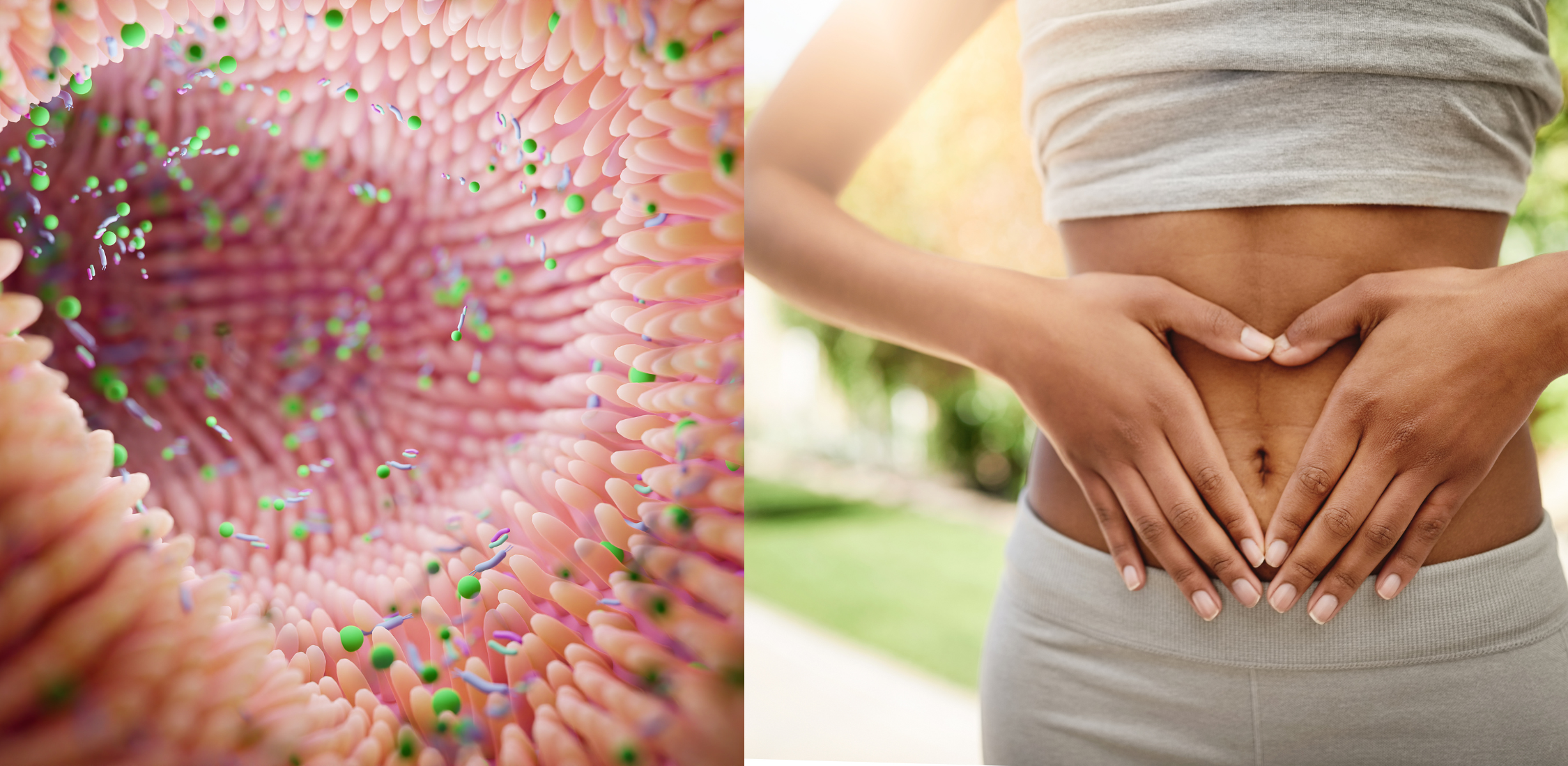 Gut Health Drink Mix: A Complete Guide to Boosting Your Digestive Wellness 1 10 11 3